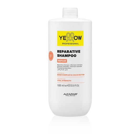 Alfaparf shampoo